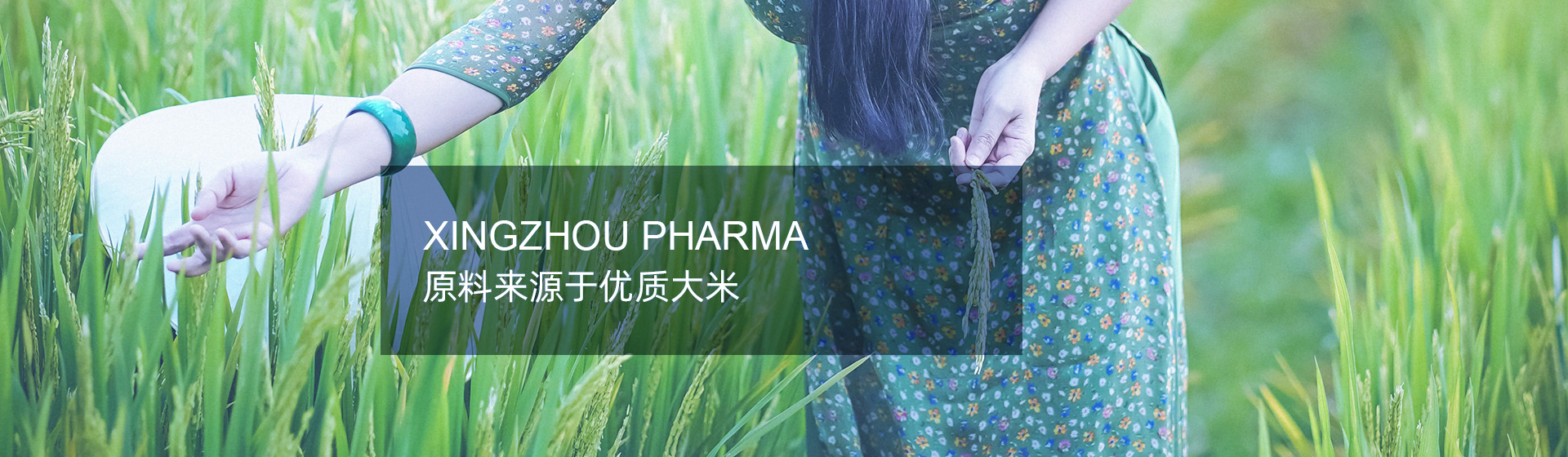 �������֡�(�й���)���޹�˾����